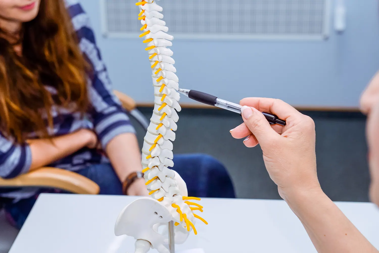 Chiropractor consulting with a patient using a spine model