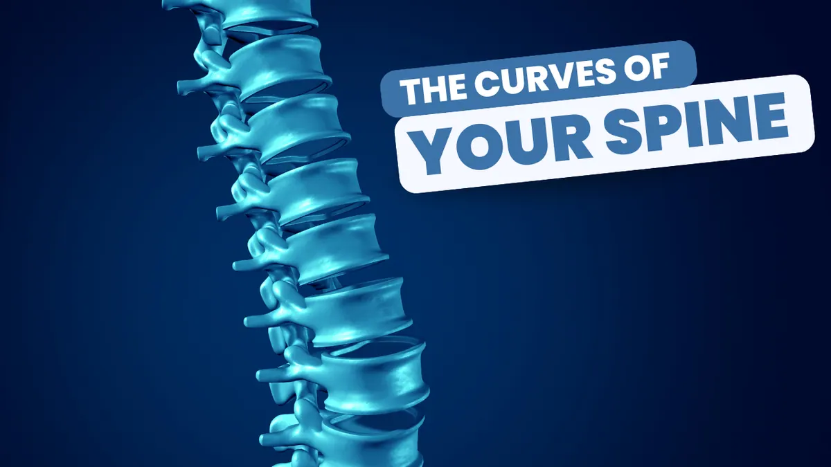Your Spine Needs Curves!
